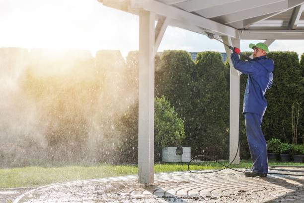 Best Driveway Cleaning and Restoration in Paddock Lake, WI